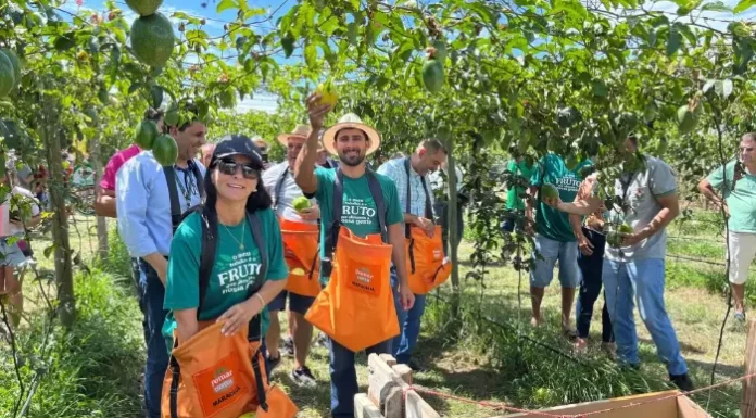 Cooperja participa da VI abertura da colheita do maracujá de SC