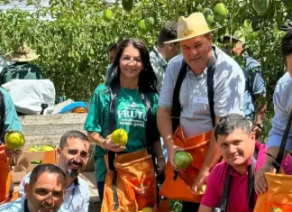 Sombrio é sede de evento estadual da Colheita do Maracujá