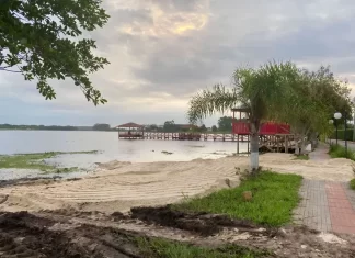 Gaivota faz ação de limpeza da vegetação e entorno da Lagoa