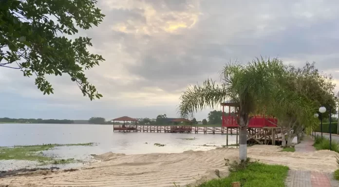 Gaivota faz ação de limpeza da vegetação e entorno da Lagoa