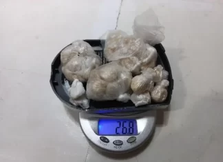 K9 da PM apreende grande quantidade de droga no bairro Divineia, Araranguá