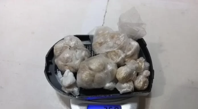 K9 da PM apreende grande quantidade de droga no bairro Divineia, Araranguá