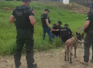 Polícia Civil deflagra operação em Timbé do Sul e desmascara novo núcleo de tráfico de drogas