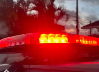 Briga de cachorros em Balneário Gaivota resulta em tentativa de homicídio