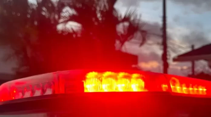 Briga de cachorros em Balneário Gaivota resulta em tentativa de homicídio