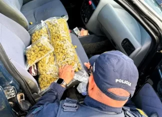 Motorista com drogas desobedece a PRF e abandona a própria família na estrada durante fuga na BR 101