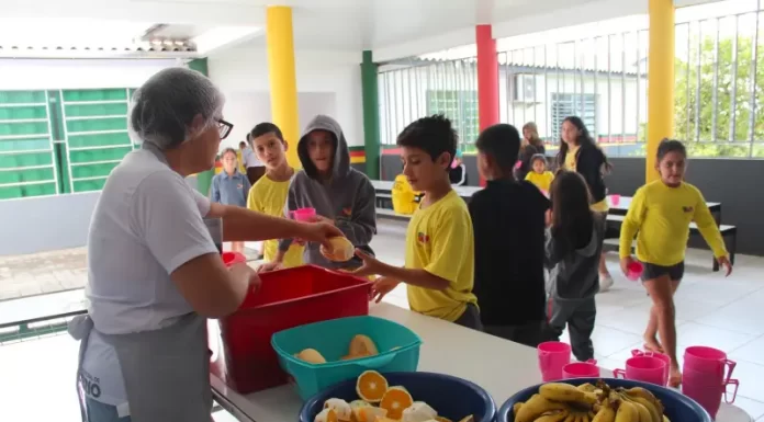 Educação de Sombrio planeja ações para 2024