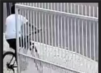 O mistério acabou: polícia civil de Araranguá identifica ladrão de bicicletas do município