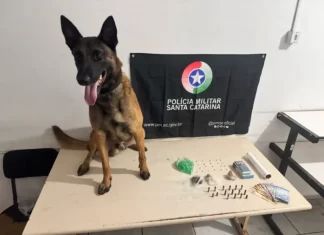 PM apreende maconha e crack na Barranca, um homem foi preso