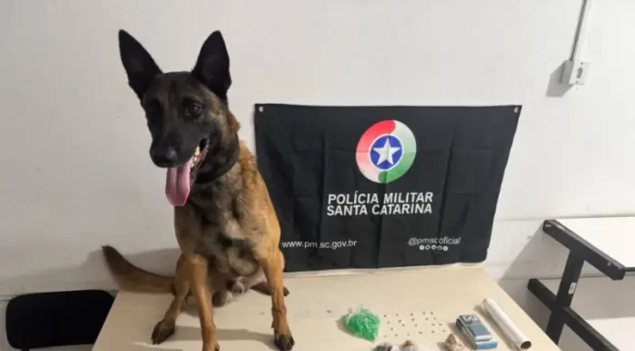 PM apreende maconha e crack na Barranca, um homem foi preso