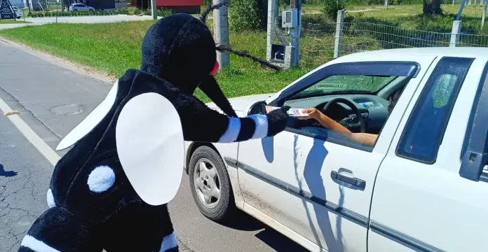 Balneário Gaivota aperta o cerco contra o mosquito transmissor