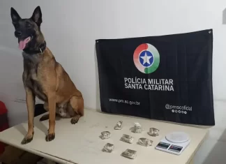 PM apreende quase meio quilo de maconha em construção abandonada em Araranguá