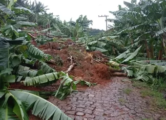Moradores de Santa Rosa do Sul já podem requerer saque do FGTS
