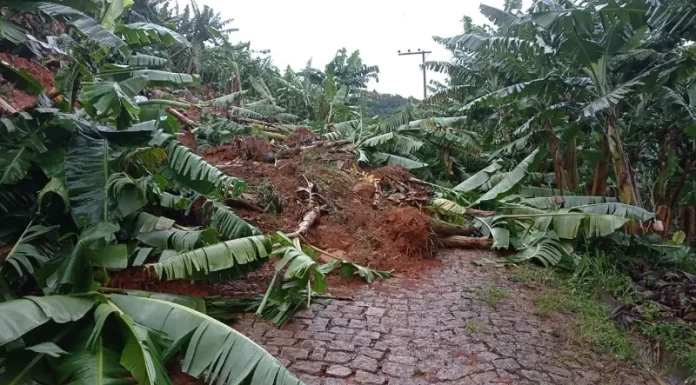 Moradores de Santa Rosa do Sul já podem requerer saque do FGTS