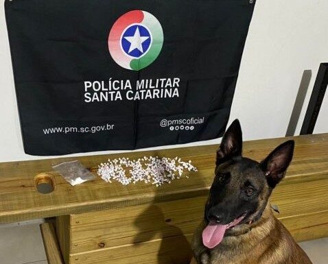 Cão Argo da PM localiza dezenas de pedras de crack em casa abandonada no “Buraco Quente”