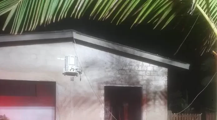 Incêndio Criminoso Causa Prejuízo em Passo de Torres