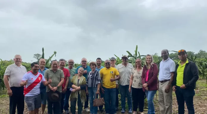 Técnicos internacionais visitam plantio de Pitaia em Sombrio