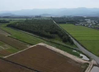 Pedido de Santa Rosa do Sul gera benefício a agricultores de todo Estado