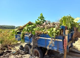Balneário Gaivota recolhe toneladas de entulhos descartados nas ruas