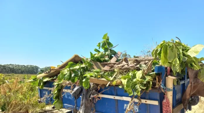 Balneário Gaivota recolhe toneladas de entulhos descartados nas ruas