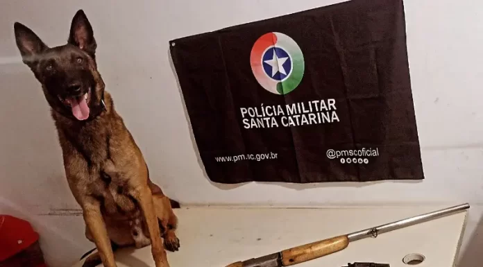 PM prende homem em Jacinto Machado por posse ilegal de arma de fogo
