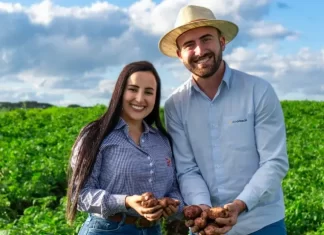 Assistência técnica Cooperja na cultura da batata nos campos de cima da serra