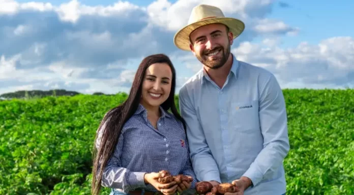 Assistência técnica Cooperja na cultura da batata nos campos de cima da serra