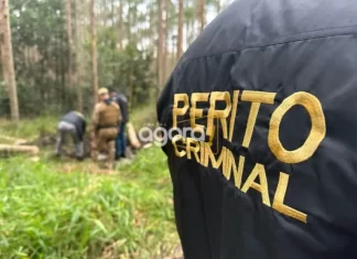 Corpos são encontrados enterrados em plantação de eucalipto em Balneário Arroio do Silva