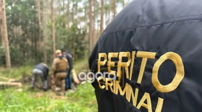 Corpos são encontrados enterrados em plantação de eucalipto em Balneário Arroio do Silva