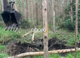 Identificado mais um corpo encontrado em Balneário Arroio do Silva