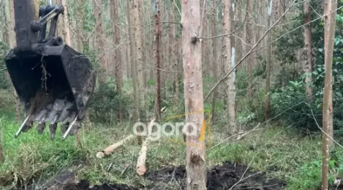 Identificado mais um corpo encontrado em Balneário Arroio do Silva