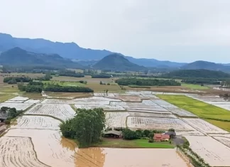 Prefeitura de Praia Grande age rápido no atendimento às famílias atingidas pela chuva