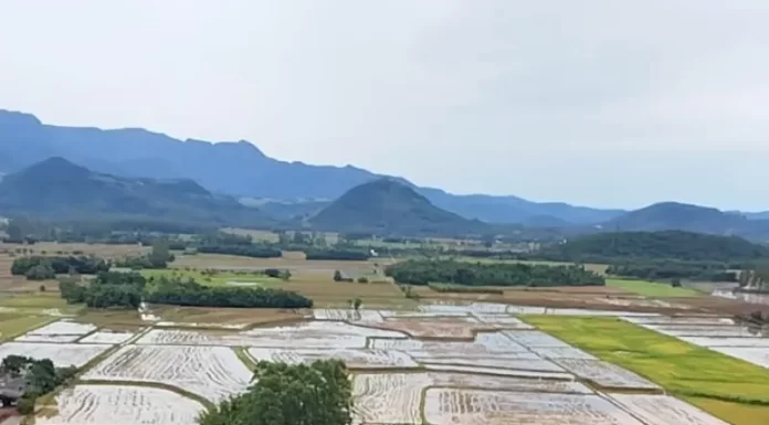 Prefeitura de Praia Grande age rápido no atendimento às famílias atingidas pela chuva