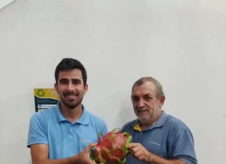 Associado da Cooperja colhe pitaya gigante