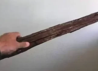 Mulher agride companheira com pauladas em Balneário Gaivota