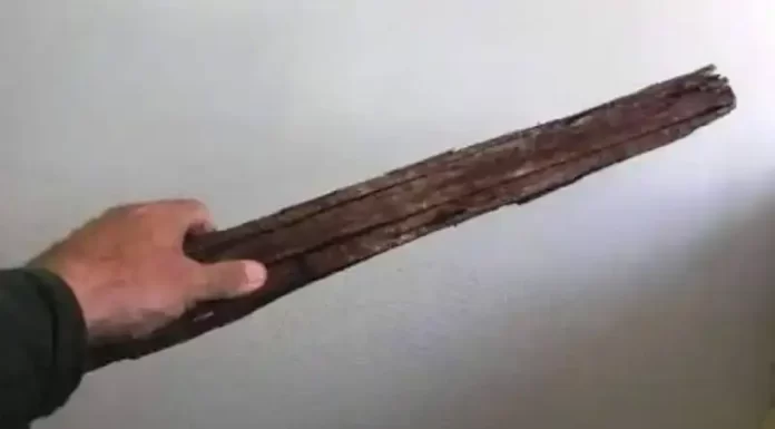 Mulher agride companheira com pauladas em Balneário Gaivota