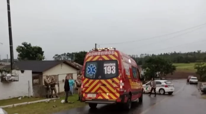 Trabalhador morre após ser atacado por cães Pitbull