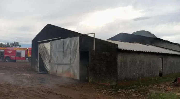Ermo: incêndio destrói galpão, pulverizadores, ceifadeira, caminhão, motocicleta e carros