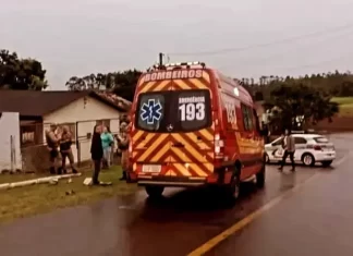 Inquérito Policial que apurou a morte de um homem por dois Pit Bulls é concluído.