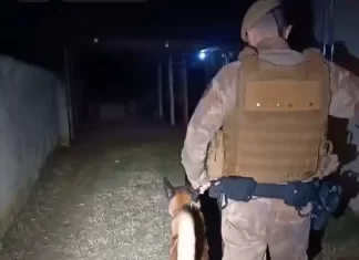 Casal é preso com meio quilo de maconha, skank e ecstasy em Sombrio