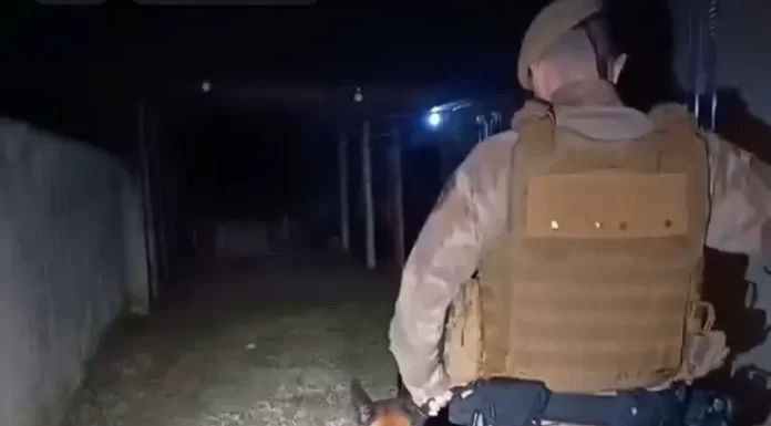 Casal é preso com meio quilo de maconha, skank e ecstasy em Sombrio