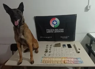 PM fecha boca de fumo e captura traficante em Passo de Torres