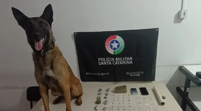 PM fecha boca de fumo e captura traficante em Passo de Torres