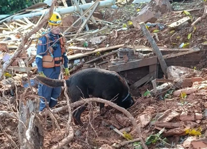 WhatsApp Image 2024-06-04 at 17.43.27