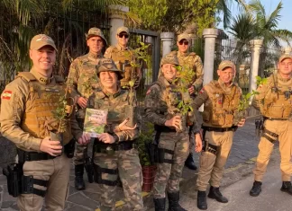 PM e Policia Ambiental realizam blitz de distribuição de mudas em Sombrio