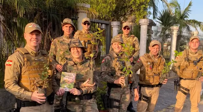 PM e Policia Ambiental realizam blitz de distribuição de mudas em Sombrio