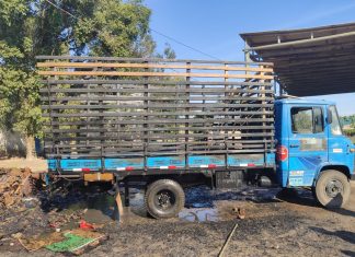 Populares controlam incêndio em caminhão que transportava papelão em Araranguá
