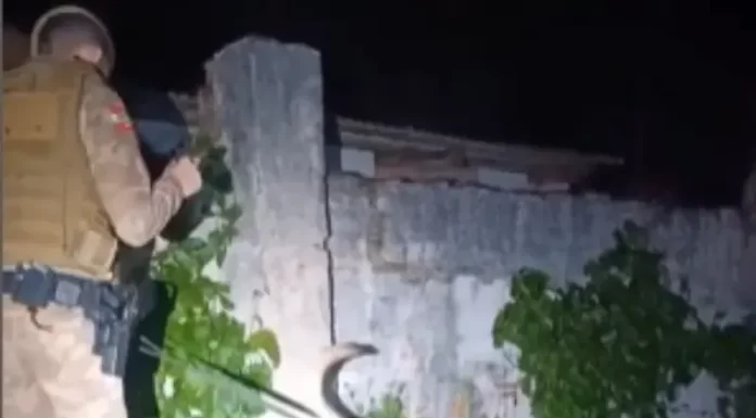 Cão Argo encontra arma de fogo municiada e drogas em casa de suspeito que acaba preso em Araranguá