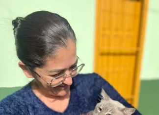 Primeiros animais são castrados pelo programa gratuito da Prefeitura de Praia Grande