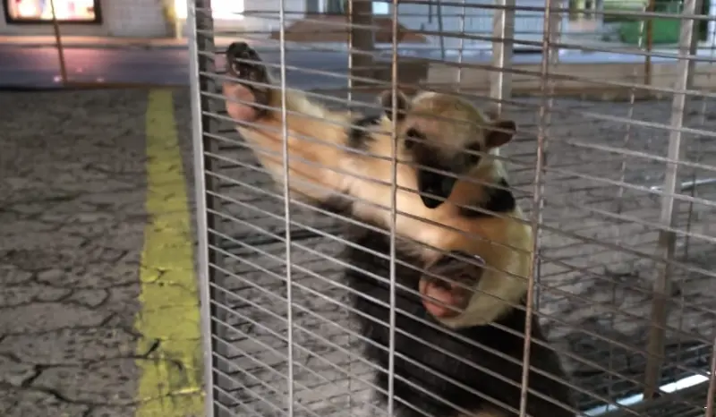 WhatsApp Image 2024-06-29 at 15.58.21